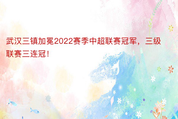 武汉三镇加冕2022赛季中超联赛冠军，三级联赛三连冠！